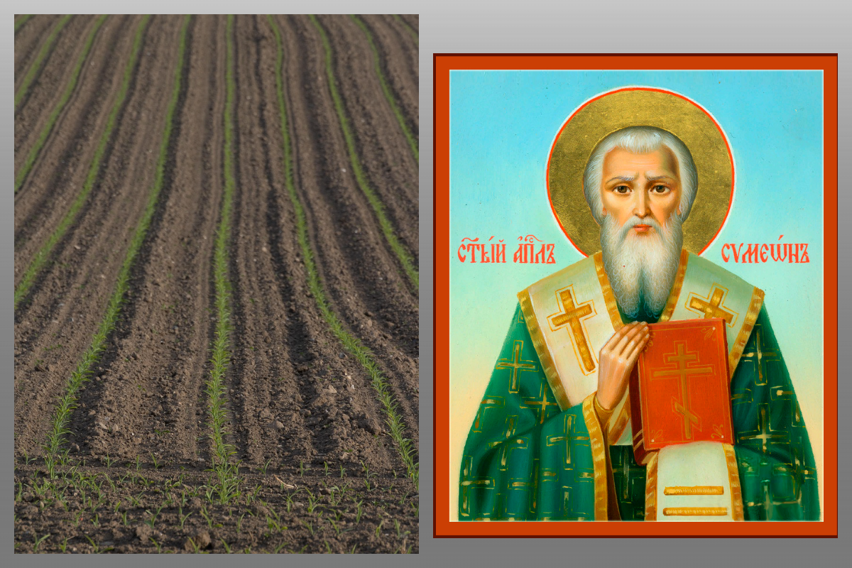 пашня/pixabay.com, Икона Апостол от 70-ти Симео́н Иерусалимский, сродник Господень по плоти/azbuka.ru