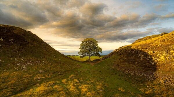    © Northumberland National Park