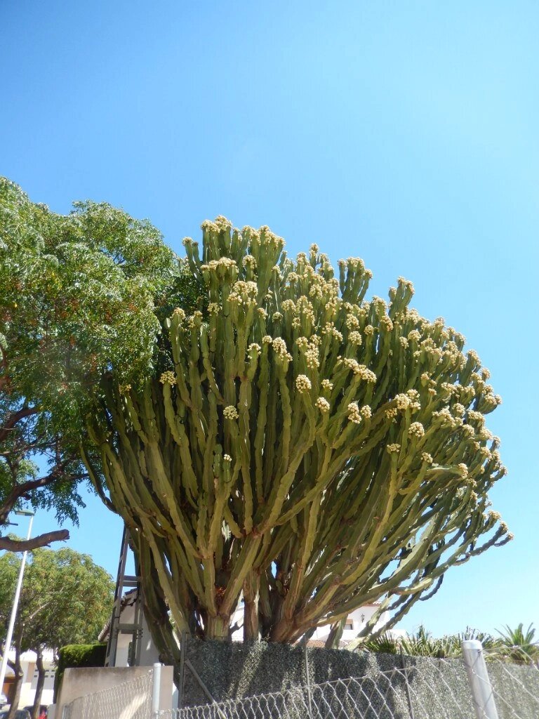 Все фото мои