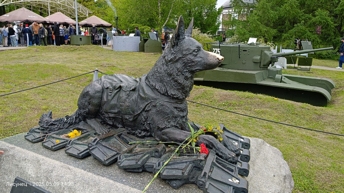 Скульптура Фронтовой собаки.Более 300 фашистских танков взорвано,свыше 120 тысяч донесений,более 700тысяч раненных вынесено с поля боя .
