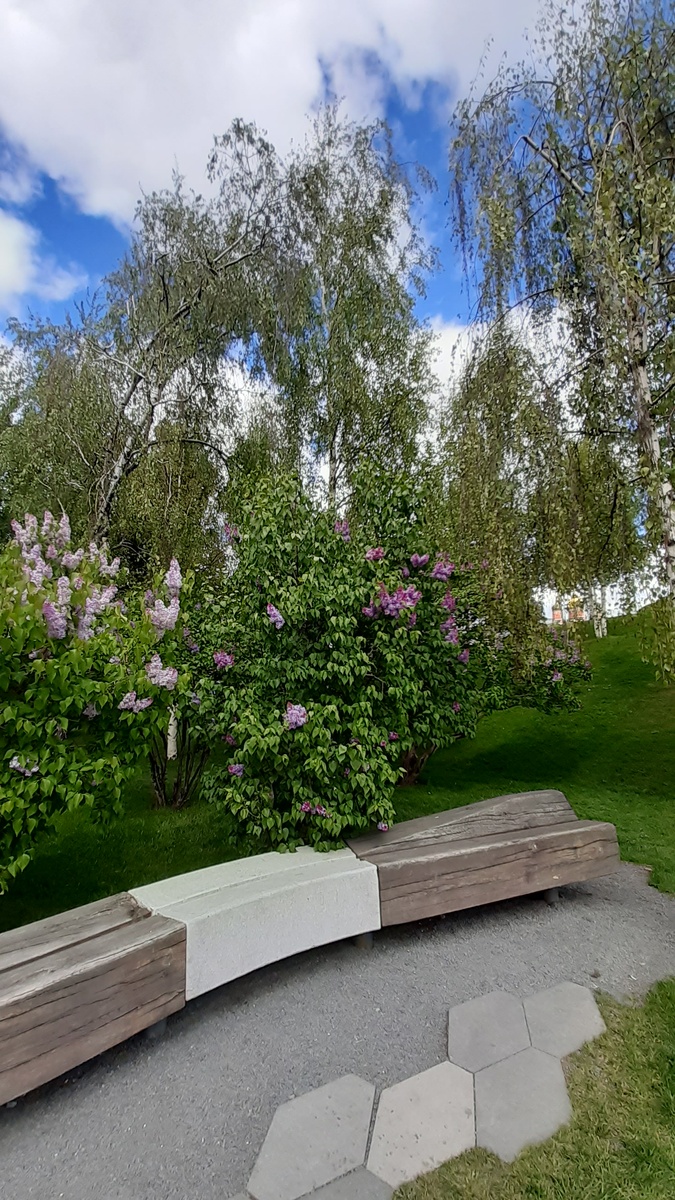 В парке Зарядье. 