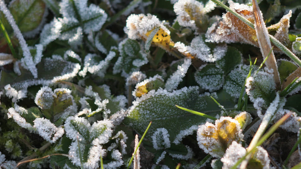 Фото: Максим Кимерлинг / Коммерсантъ