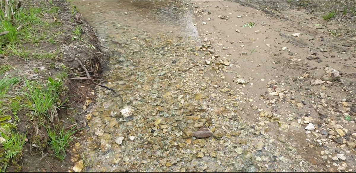 Ручей, впадающий в реку Осетр. Фото автора