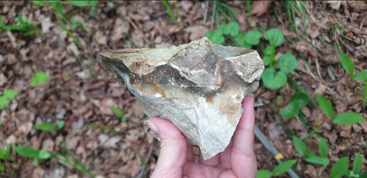 Фрагмент натечного халцедона на кремне. Фото автора