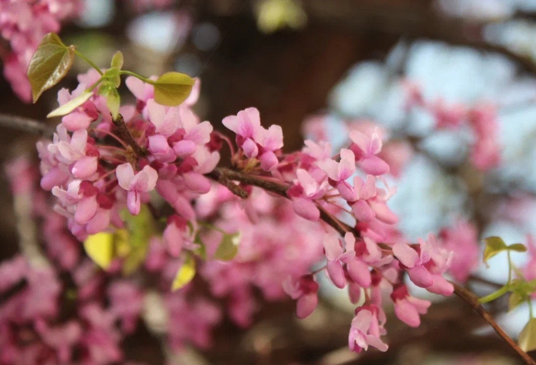   ГТРК "Ставрополье"