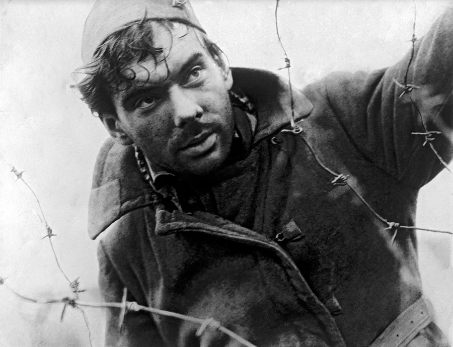 Кадр из фильма "Летят журавли" 