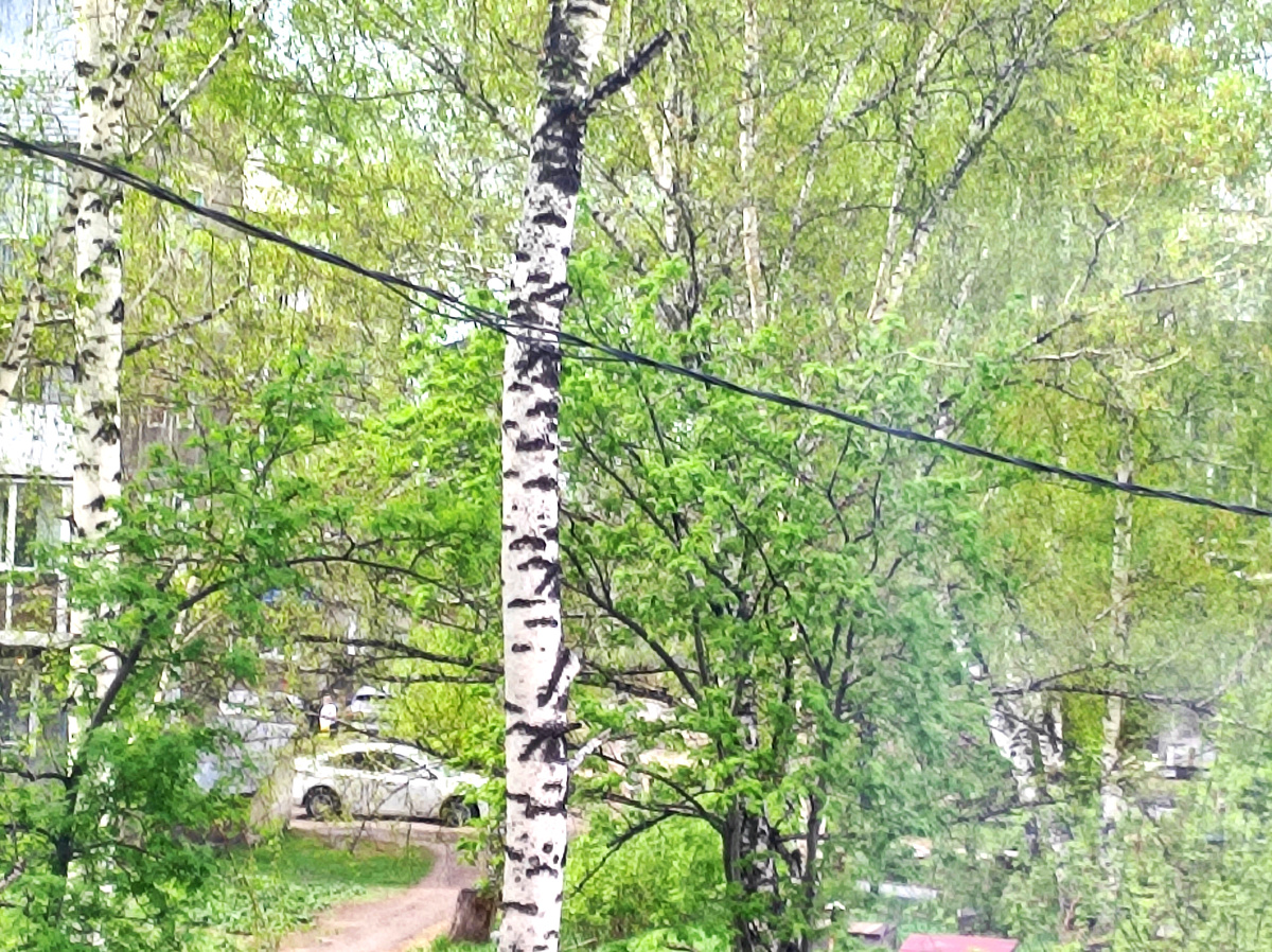 Утро 9 мая вид из окна 