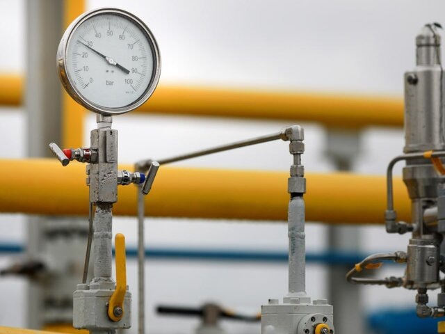    Фото: 123RF/gcalin