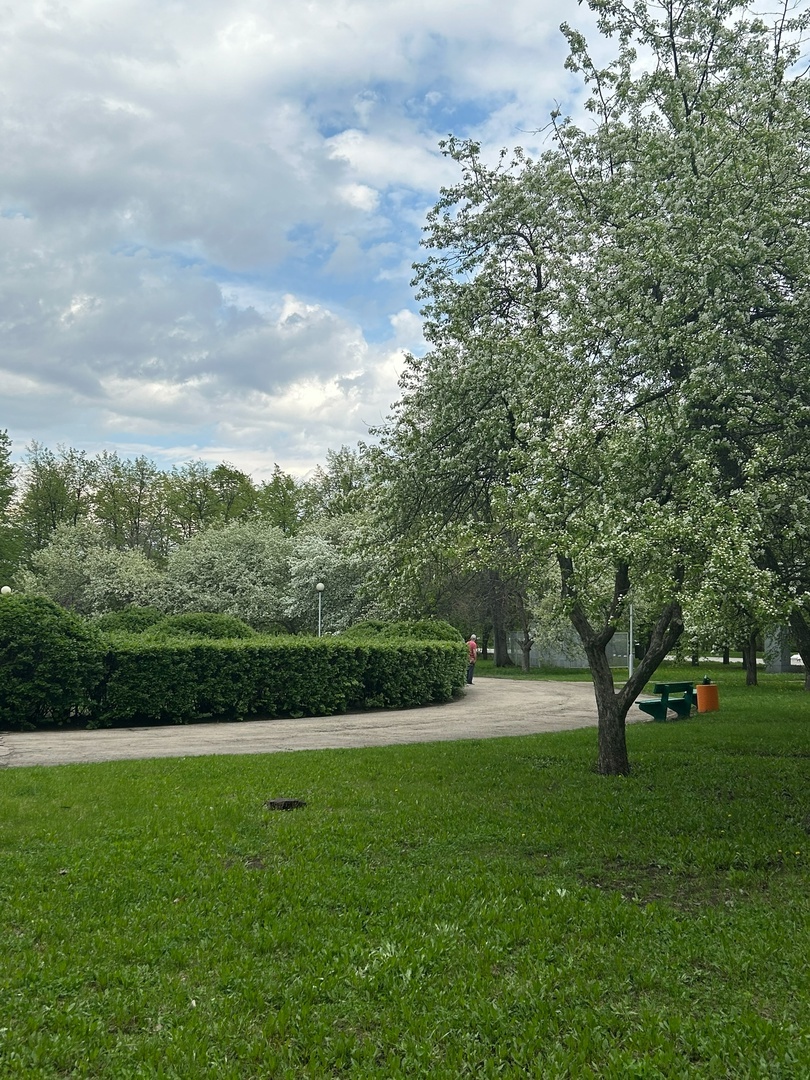    Фото: Анастасия Максименко