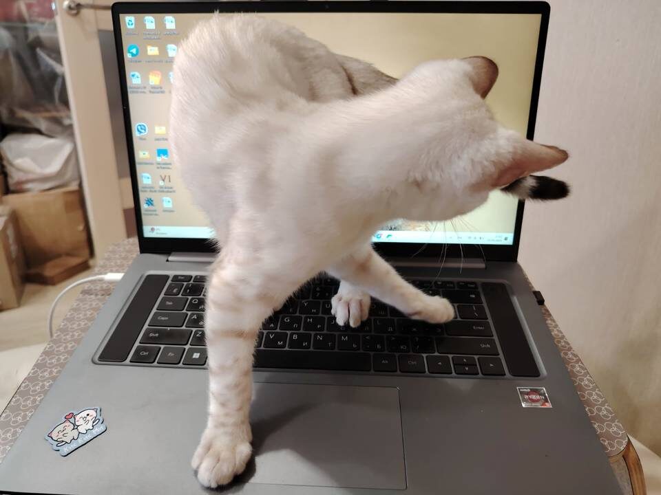    Фото: "Городские вести"