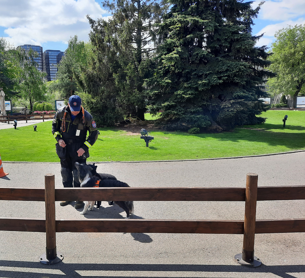 Крошка и Викинг