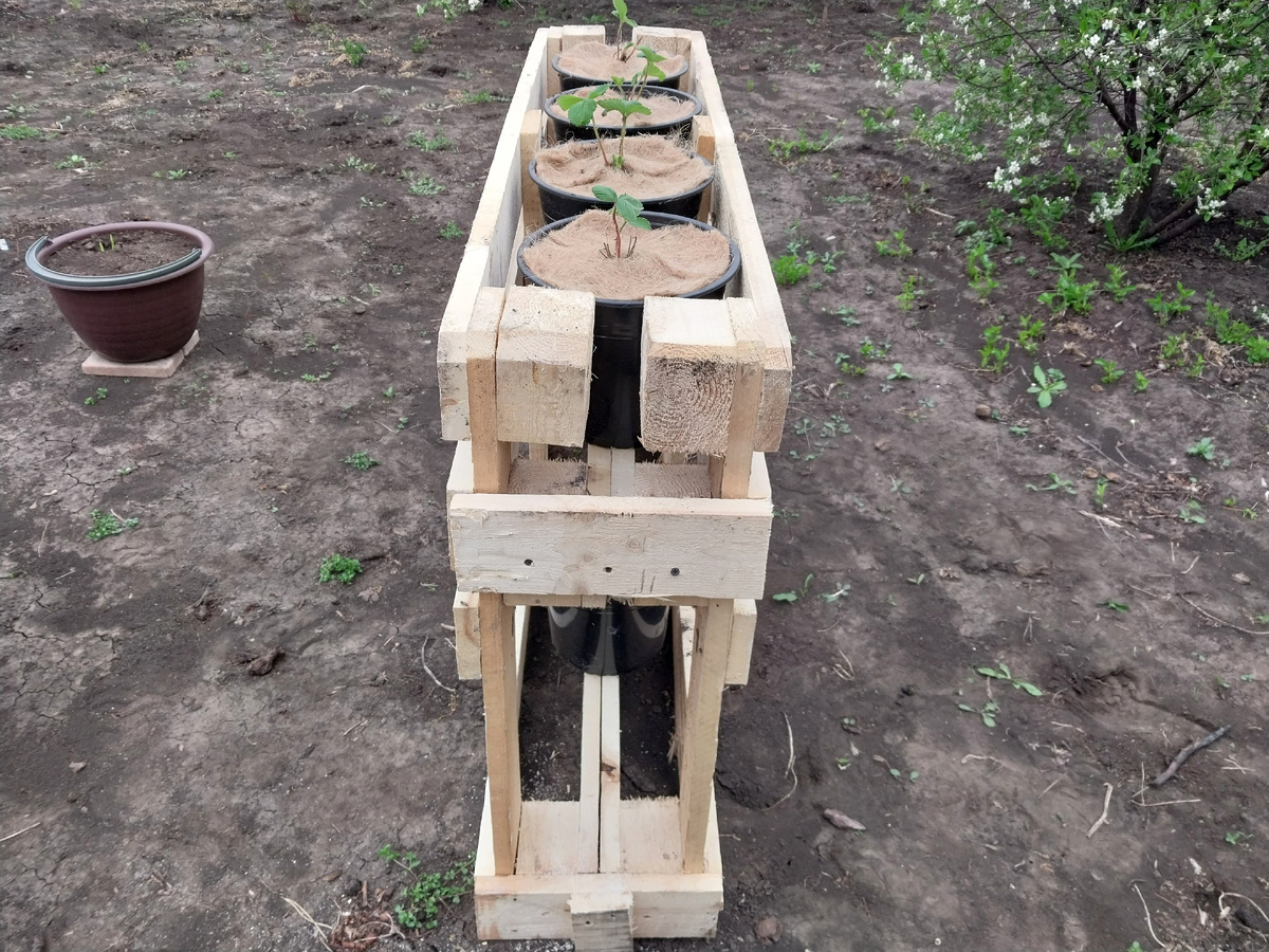 Вид с боку. Конструкция прибита в низу к колышкам, которые забиты в грунт.