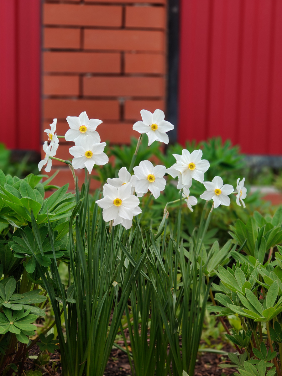 Спасибо за каждую весну!
