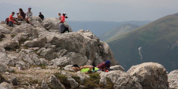    Фото пресс-службы Кавказского биосферного заповедника.
