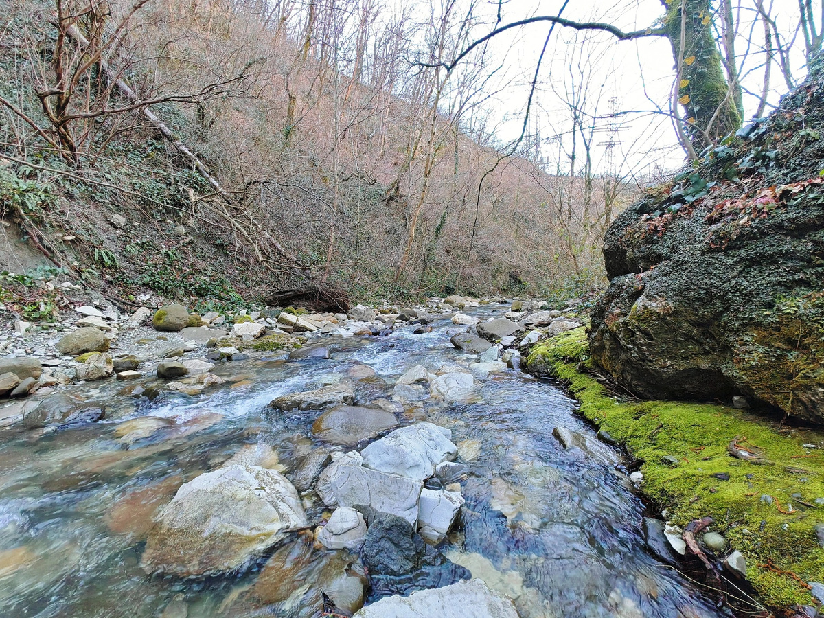 Свирский ручей 