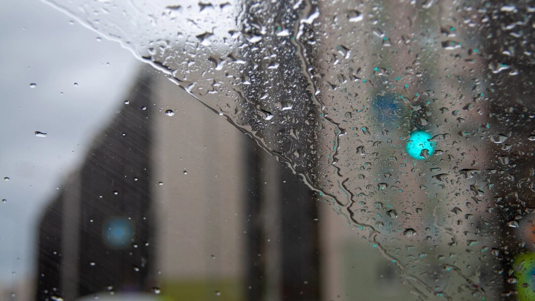    Фото: Svetlana Vozmilova/Globallookpress