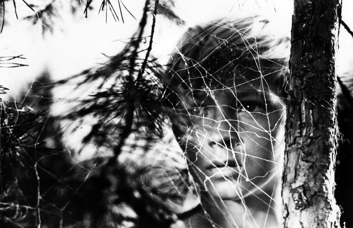 Кадр из фильма "Иваново детство"