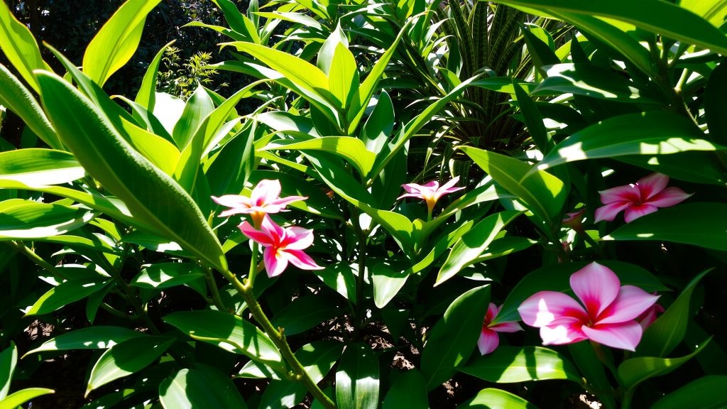    Как попасть в закрытые коллекции на экскурсии в фонды