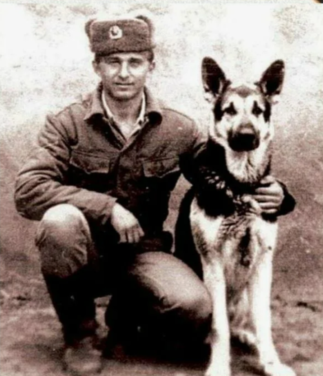 Собака-диверсант Дина