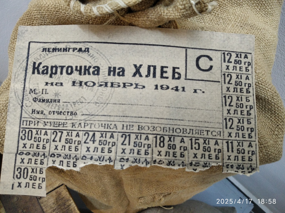 Все фотографии в галерее мои