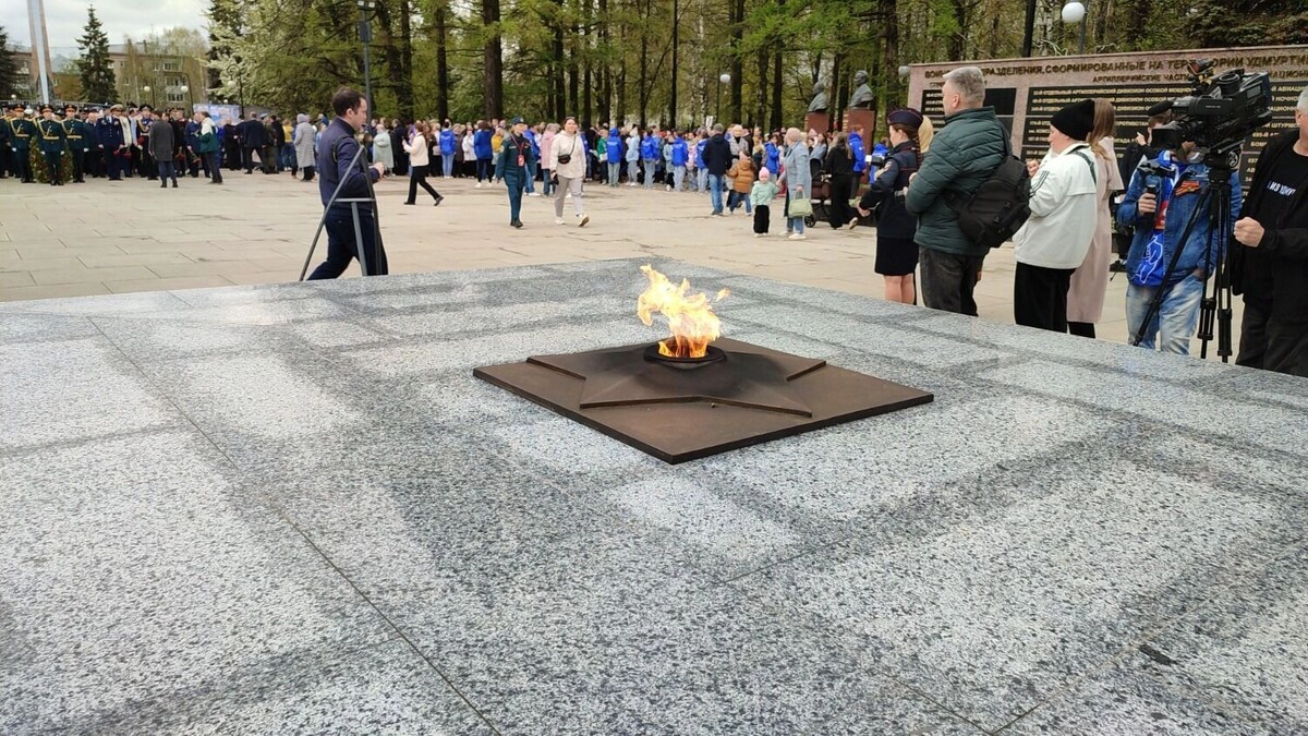     Автор: Сергей Савинов Источник: udm-info.ru