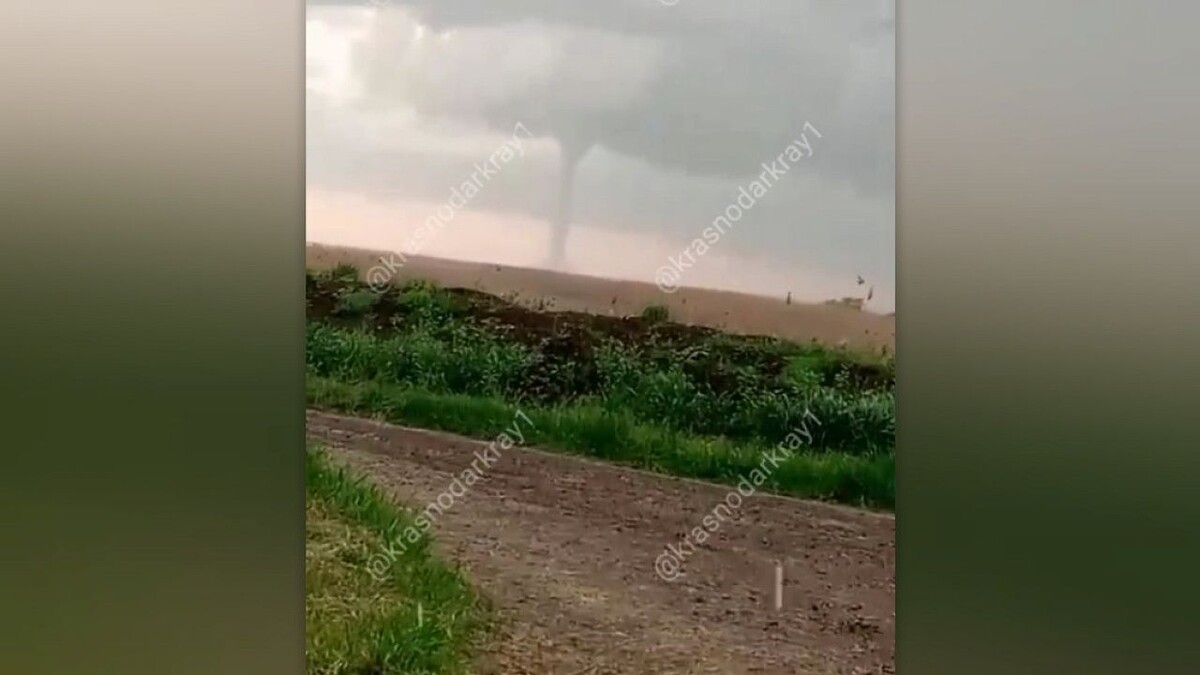    Фото: t.me/krasnodarkray1