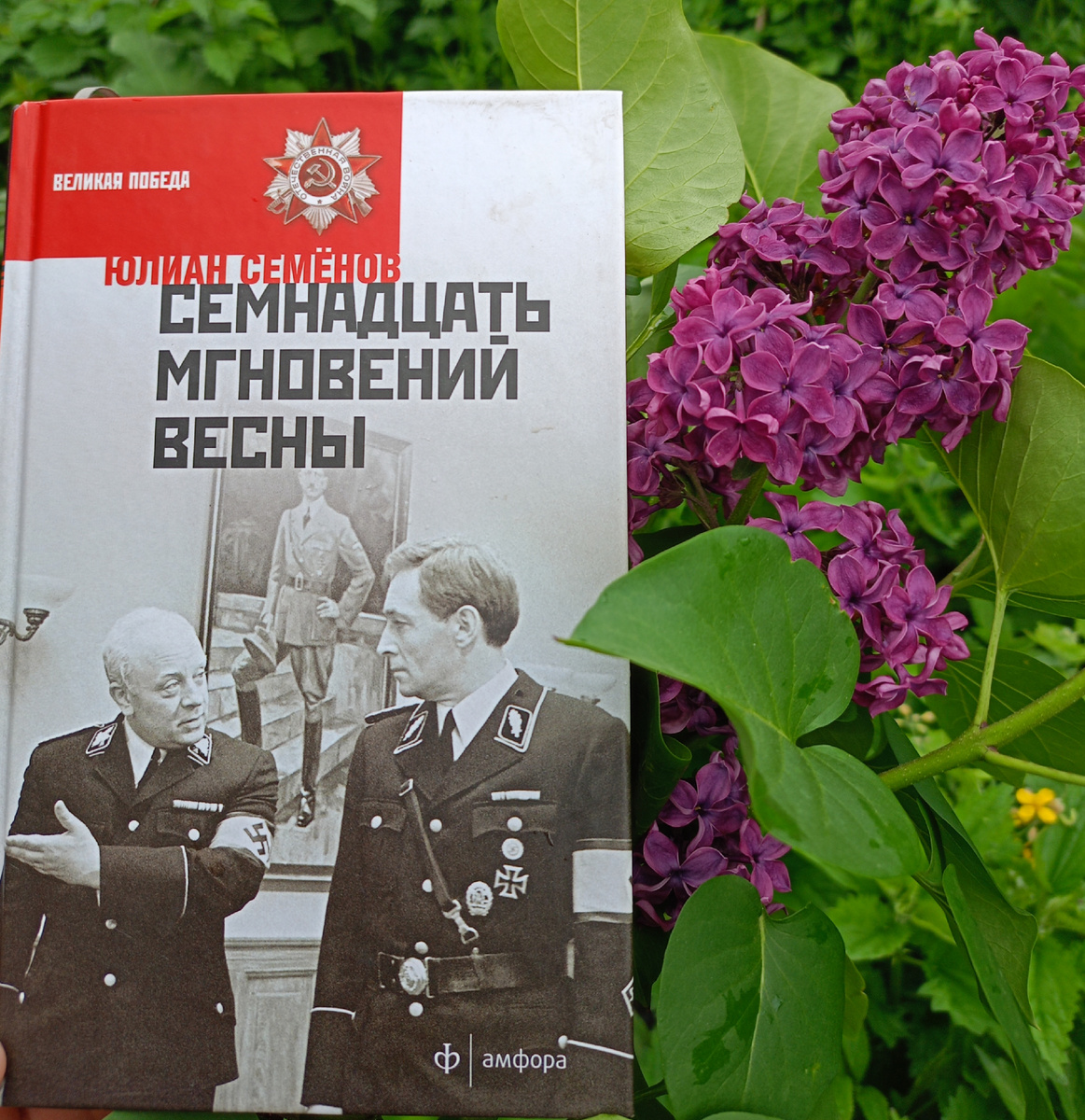 Фото автора. 