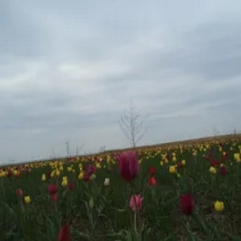  Такая красота предстала перед нами.