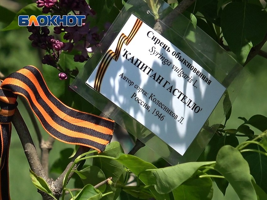 Фото: «Блокнот Донецк»