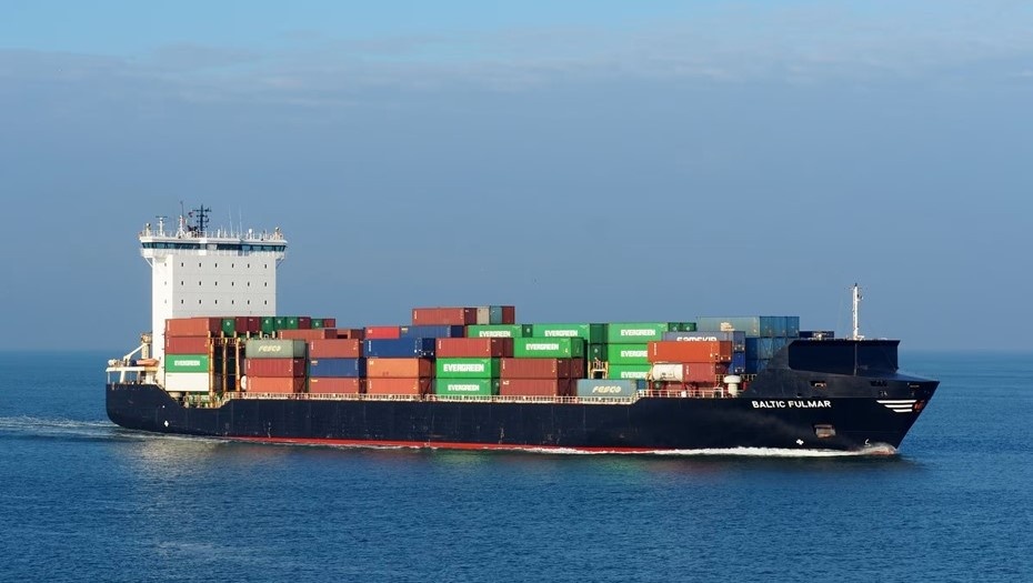    Судно Newnew Polar Bear, ранее известное под названием Baltic Fulmar Автор фото: Alf van Beem / Wikimedia Commons