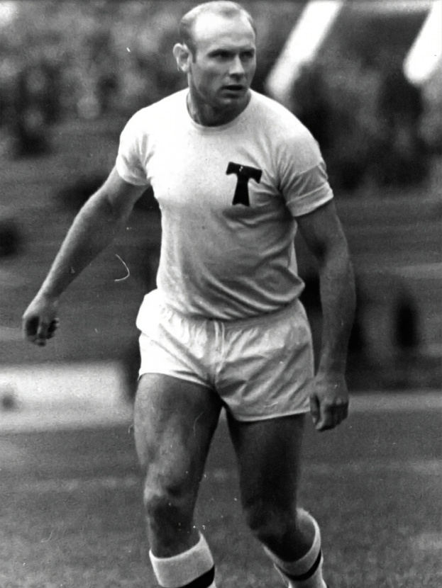 Стрельцов на поле