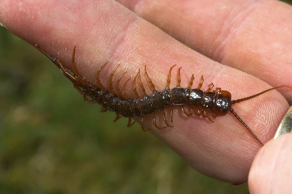 фото из интернета