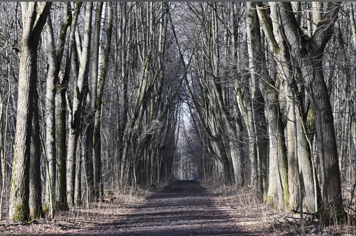 Фото с простор интернета 