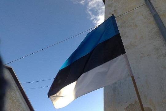    В Эстонии заведено шесть дел из-за запрещённой символики в День Победы