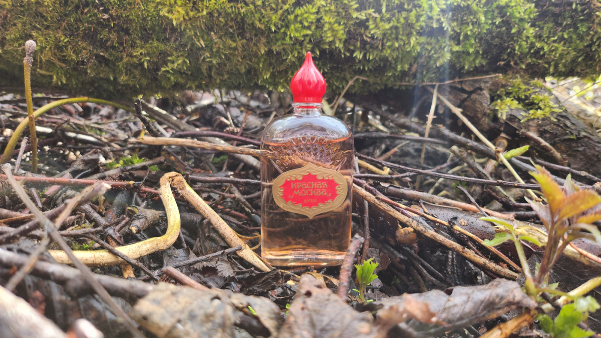 Аккорды и основные ноты в галлерее, листай карусель