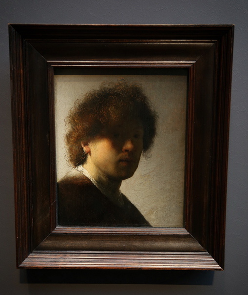 Автопортрет с растрепанными волосами,  Рембрандт (ок. 1628 г.), В раме.