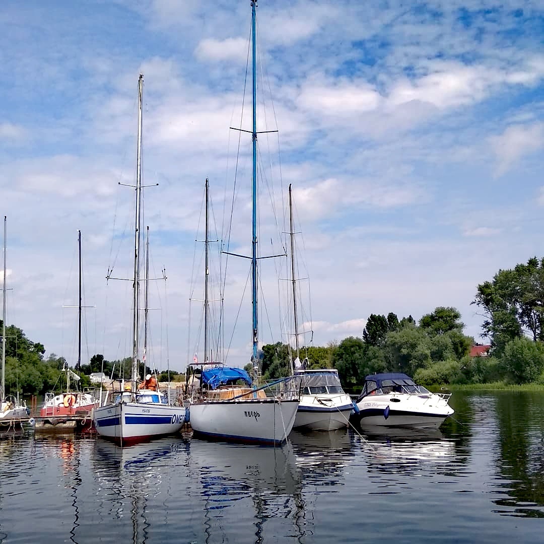 Личное фото автора. 
