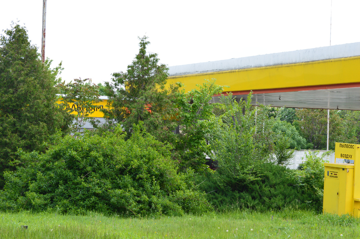 Фото автора. 09.05.2025. У жёлтой заправки.