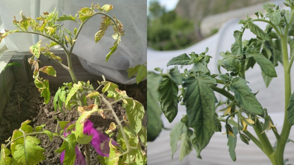 Результат применения разных методов высадки при одинаковых погодных условиях