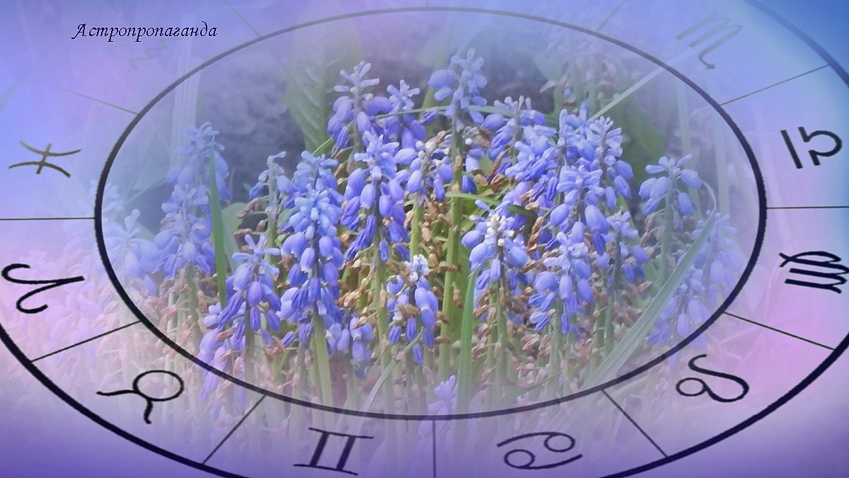 Гороскоп с 12 по 18 мая 2025: конфликты и неожиданности с понедельника по воскресенье | Недельный гороскоп