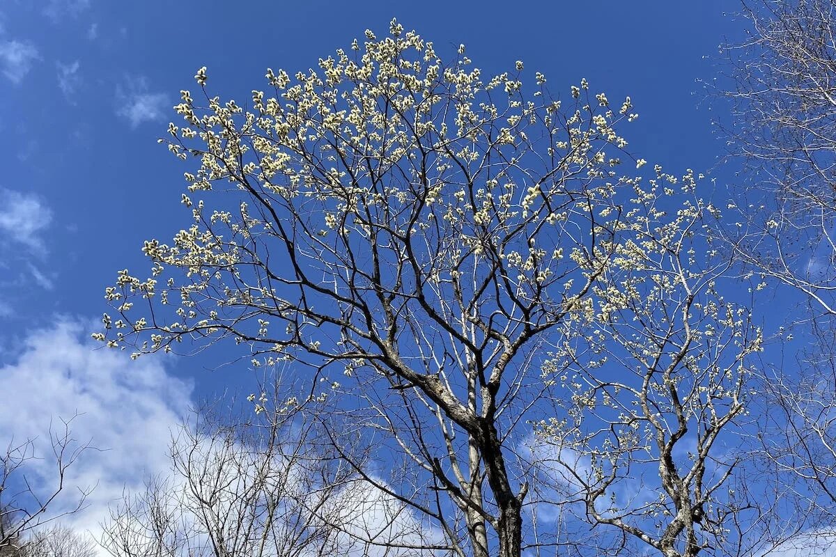 Фото: UfaTime.ru