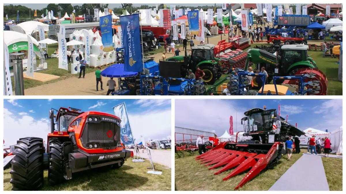 Фото: © Артем Борисов / Glavpahar.ru / niva-expo.ru / оргкомитет «Золотая Нива»