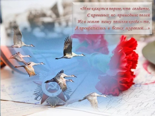 Как же точно и правильно сказано... Фото из свободного источника в Интернете.