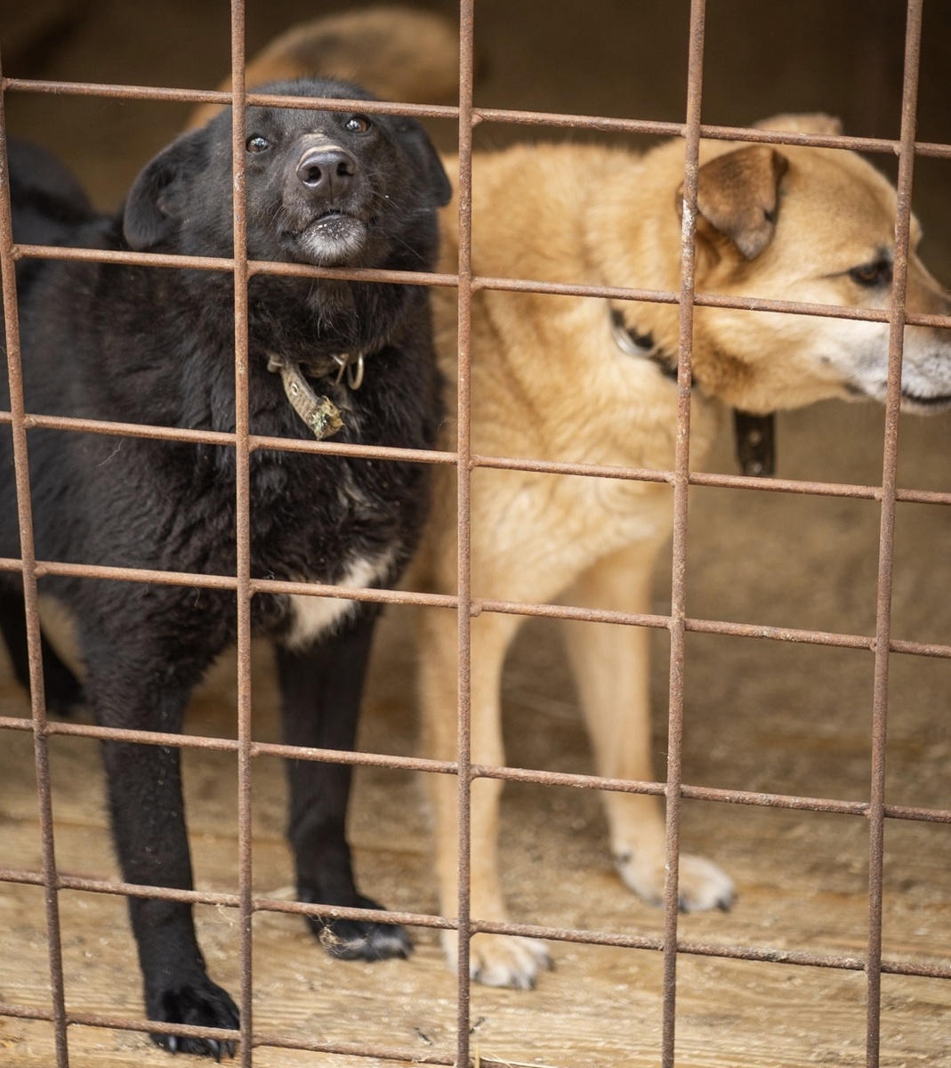 кто ждет его больше всего!