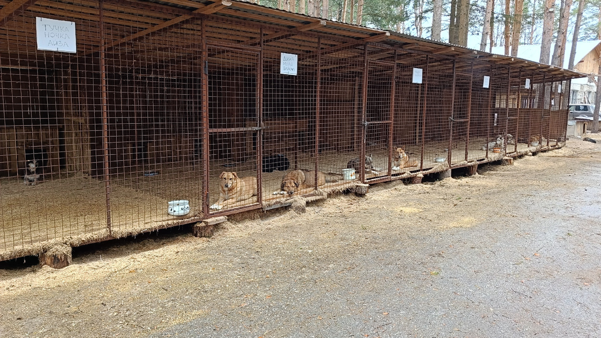 Они очень ждут!