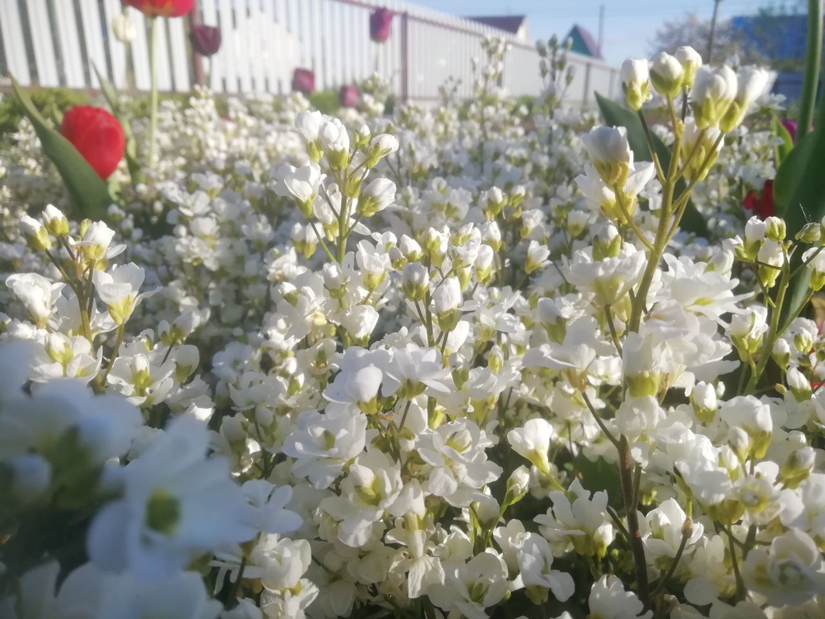 Фото дочери. 8 мая.