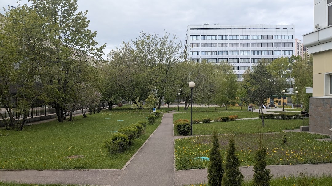 Территория центра мозга. Фото автора