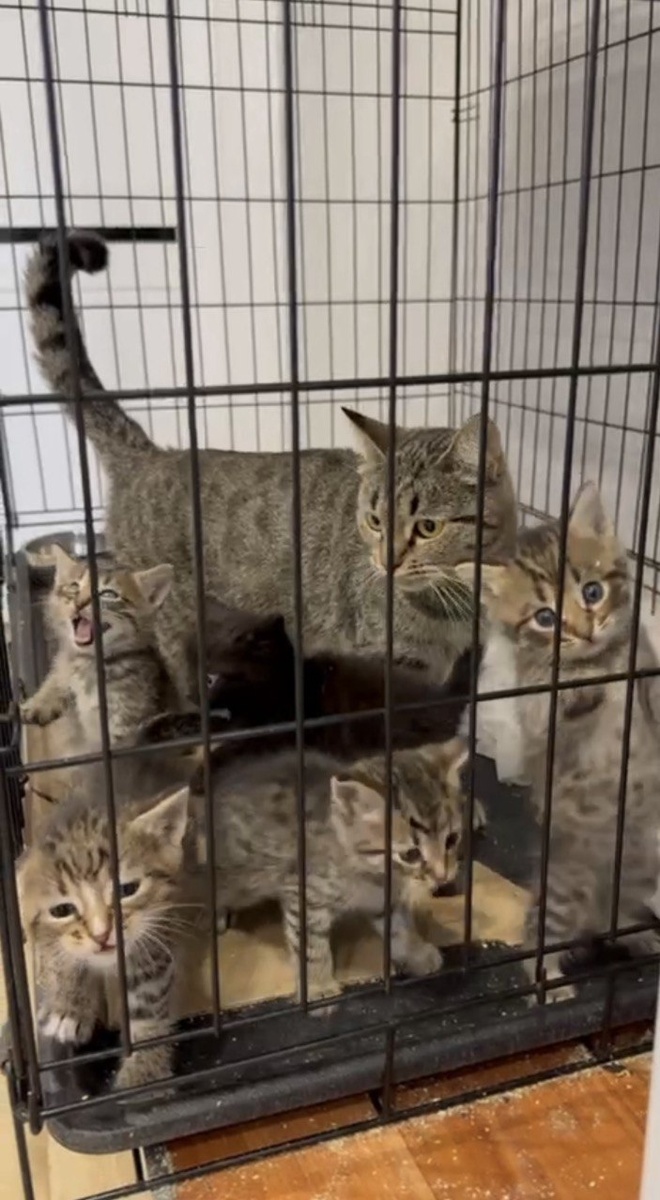 Ванесса (Куськина мать) со всем своим семейством. Фото из архива автора