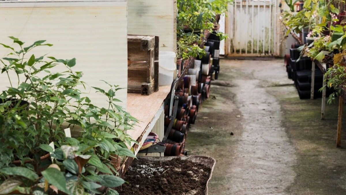     Источник: freepik.com