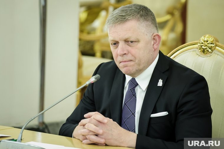    Фицо рассматривал вариант приехать в РФ на машине